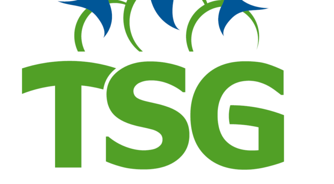 TSG Bergedorf neuer Träger der GBS ab 01.08.2025